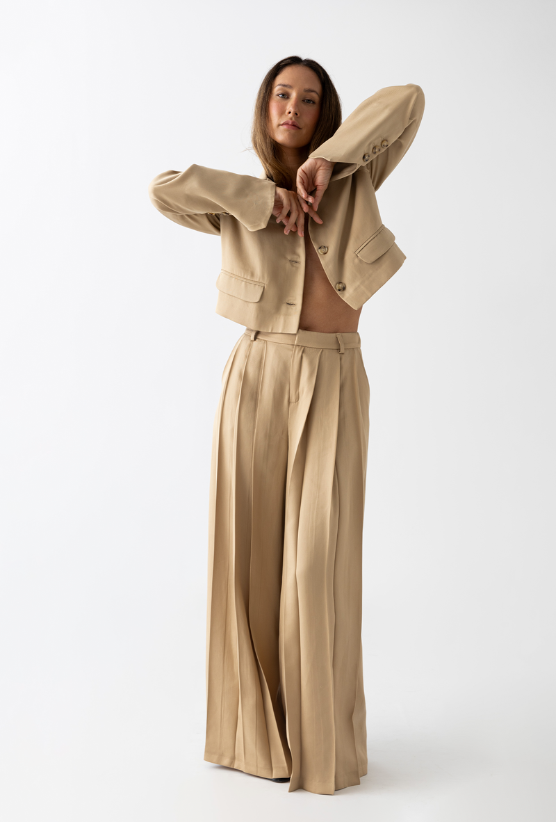 Pleated Pants: Camel