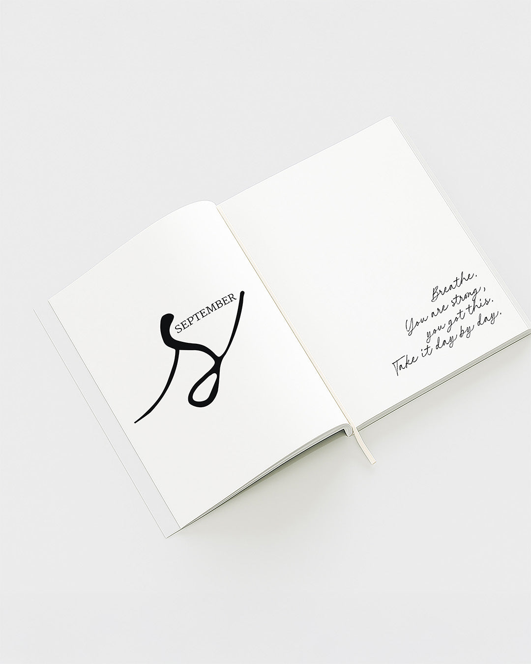 BUTTERCREAM LINES PLANNER 25/26